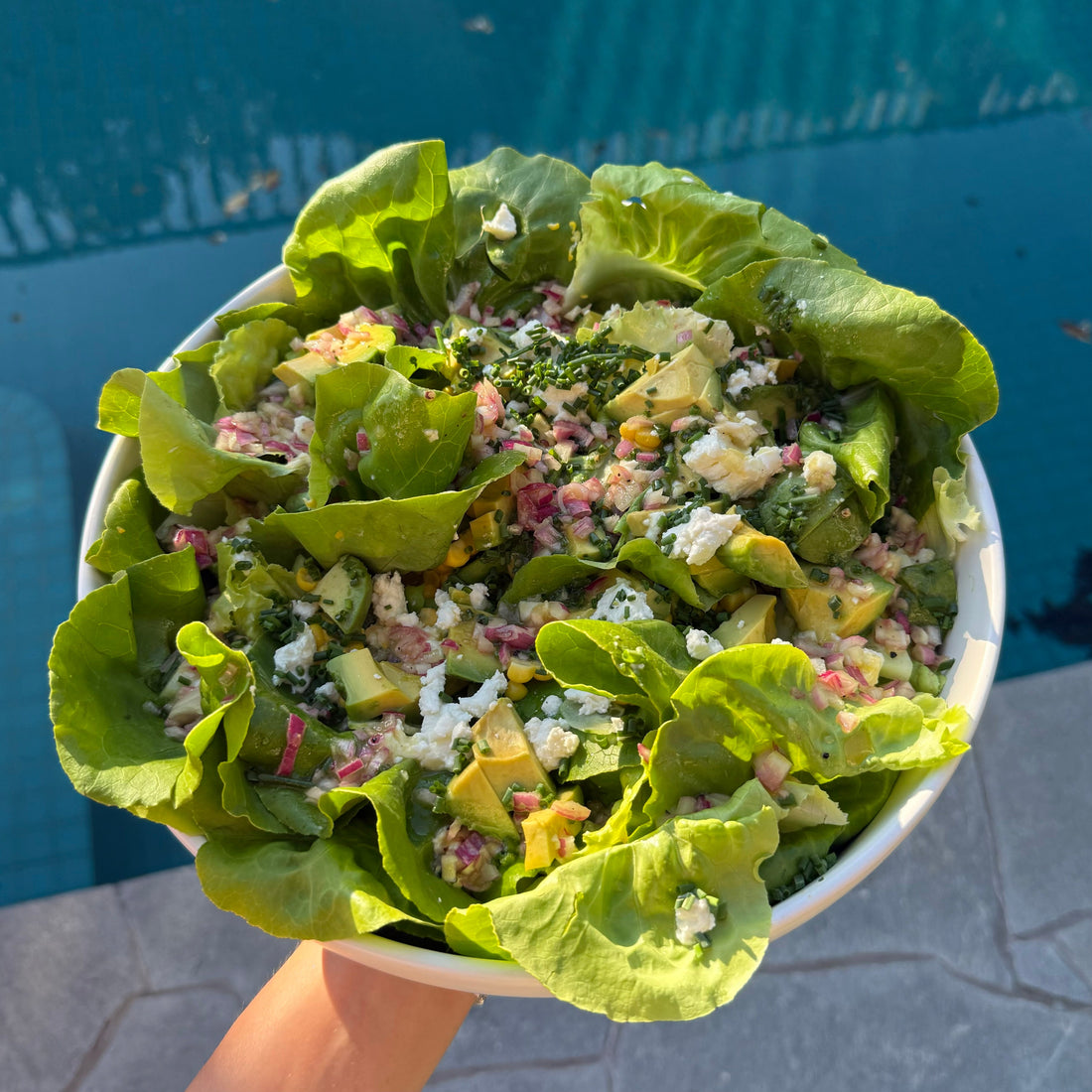 CHRISTMAS: Butter Lettuce Salad